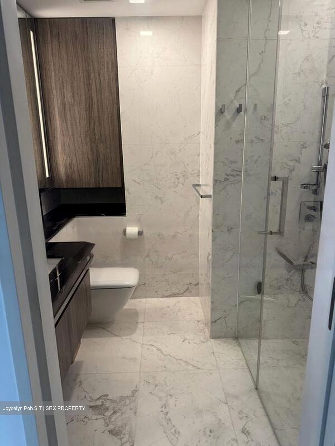Wallich Street (D2), Condominium #453670761